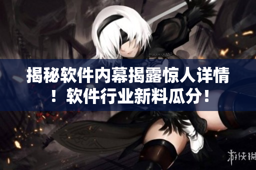 揭秘软件内幕揭露惊人详情！软件行业新料瓜分！