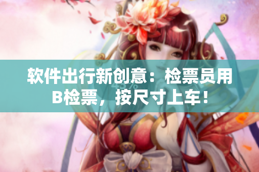 软件出行新创意：检票员用B检票，按尺寸上车！