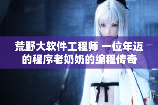 荒野大软件工程师 一位年迈的程序老奶奶的编程传奇