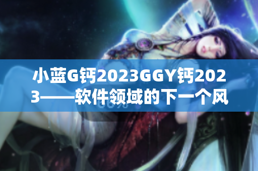 小蓝G钙2023GGY钙2023——软件领域的下一个风口？