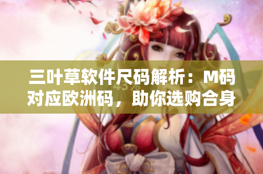 三叶草软件尺码解析：M码对应欧洲码，助你选购合身软件服装