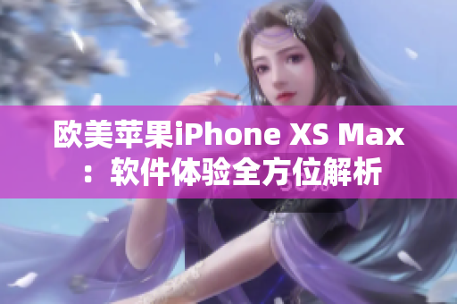 欧美苹果iPhone XS Max：软件体验全方位解析