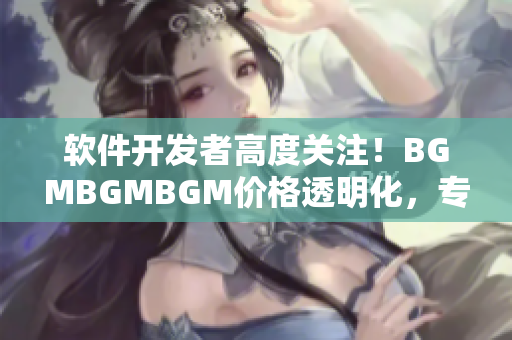 软件开发者高度关注！BGMBGMBGM价格透明化，专业软件服务火热推广