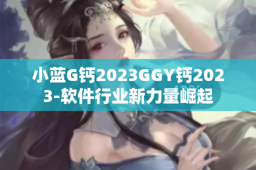 小蓝G钙2023GGY钙2023-软件行业新力量崛起