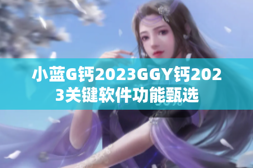 小蓝G钙2023GGY钙2023关键软件功能甄选