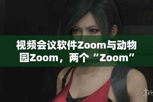 视频会议软件Zoom与动物园Zoom，两个“Zoom”的独特魅力