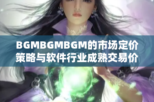 BGMBGMBGM的市场定价策略与软件行业成熟交易价值探析