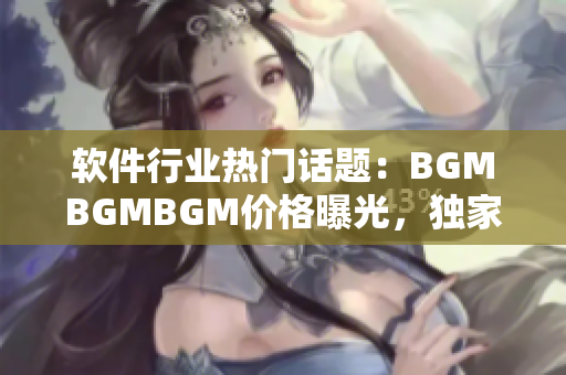 软件行业热门话题：BGMBGMBGM价格曝光，独家揭秘成熟交易背后的秘密