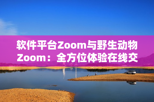 软件平台Zoom与野生动物Zoom：全方位体验在线交流的新时代