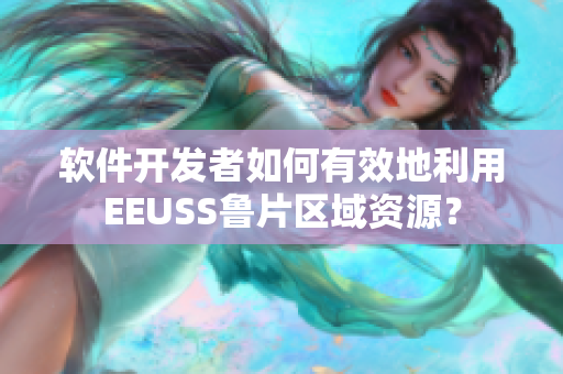 软件开发者如何有效地利用EEUSS鲁片区域资源？