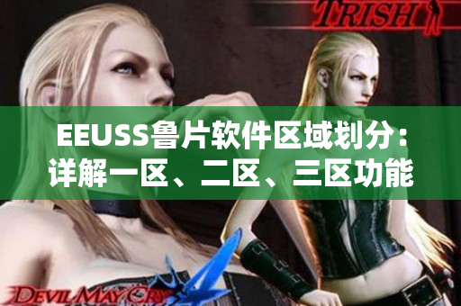 EEUSS鲁片软件区域划分：详解一区、二区、三区功能分布