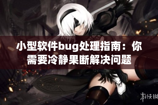 小型软件bug处理指南：你需要冷静果断解决问题