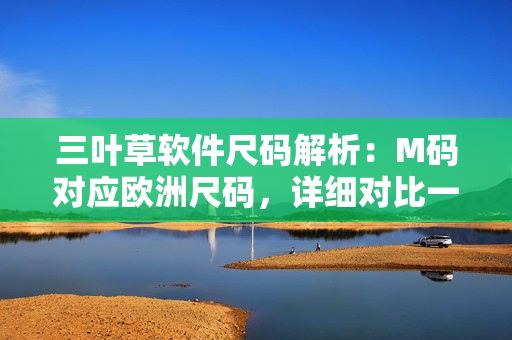 三叶草软件尺码解析：M码对应欧洲尺码，详细对比一览