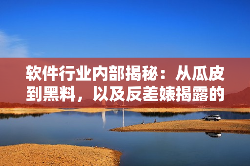 软件行业内部揭秘：从瓜皮到黑料，以及反差婊揭露的软件万里长征