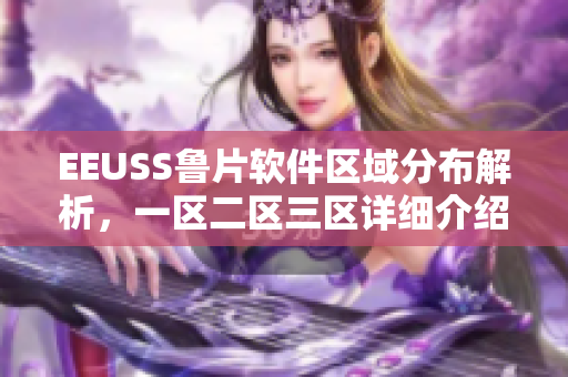 EEUSS鲁片软件区域分布解析，一区二区三区详细介绍