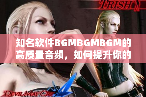 知名软件BGMBGMBGM的高质量音频，如何提升你的工作效率？