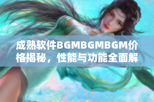 成熟软件BGMBGMBGM价格揭秘，性能与功能全面解析