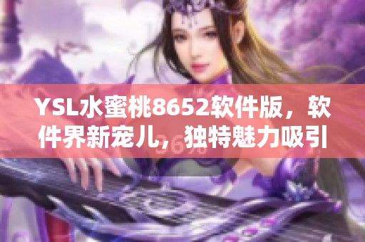 YSL水蜜桃8652软件版，软件界新宠儿，独特魅力吸引众多用户