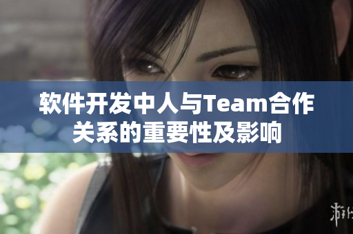 软件开发中人与Team合作关系的重要性及影响