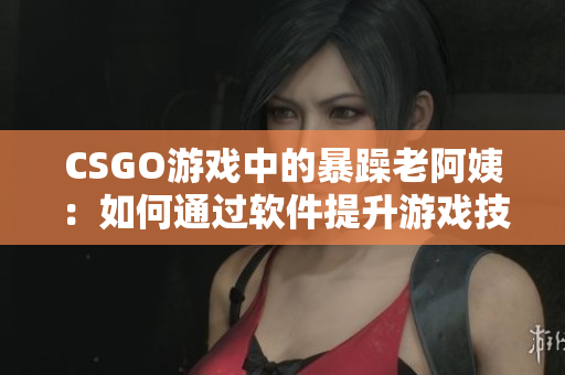 CSGO游戏中的暴躁老阿姨：如何通过软件提升游戏技巧