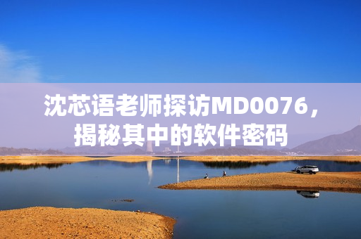 沈芯语老师探访MD0076，揭秘其中的软件密码