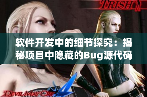 软件开发中的细节探究：揭秘项目中隐藏的Bug源代码