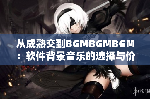 从成熟交到BGMBGMBGM：软件背景音乐的选择与价格分析