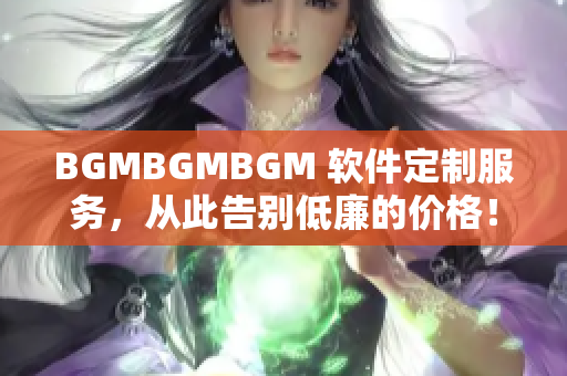 BGMBGMBGM 软件定制服务，从此告别低廉的价格！