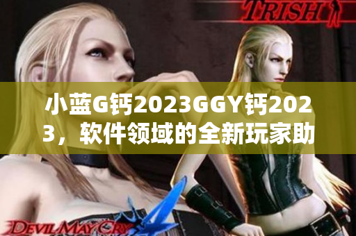 小蓝G钙2023GGY钙2023，软件领域的全新玩家助力计划