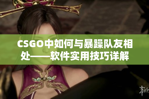 CSGO中如何与暴躁队友相处——软件实用技巧详解