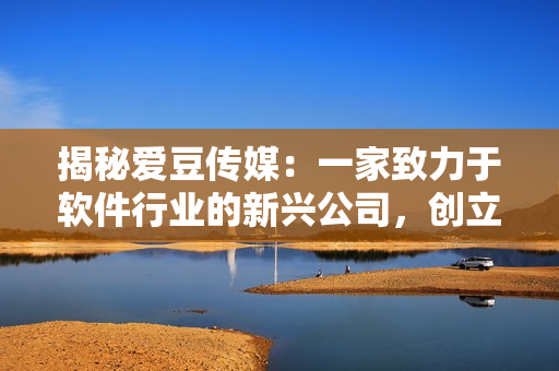 揭秘爱豆传媒：一家致力于软件行业的新兴公司，创立于近年