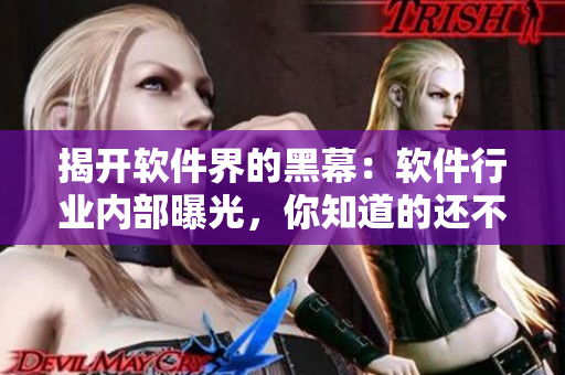 揭开软件界的黑幕:软件行业内部曝光,你知道的还不够! 揭开软件界的黑幕:软件行业内部曝光,你知道的还不够!