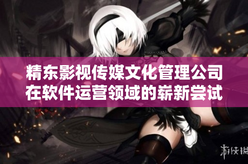 精东影视传媒文化管理公司在软件运营领域的崭新尝试 精东影视传媒文化管理公司在软件运营领域的崭新尝试