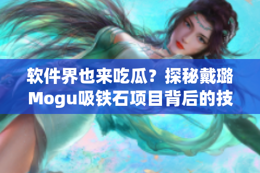 软件界也来吃瓜？探秘戴璐Mogu吸铁石项目背后的技术奥秘