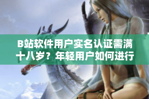 B站软件用户实名认证需满十八岁？年轻用户如何进行身份验证？——软件相关文章