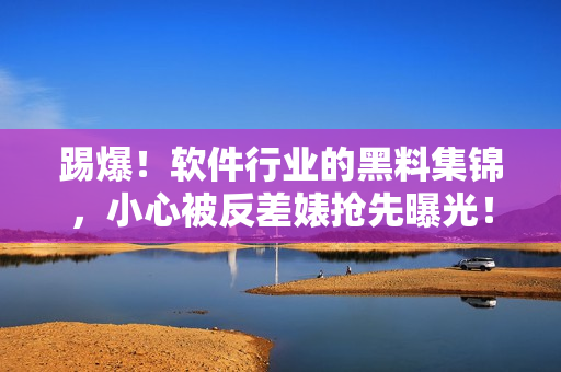 踢爆!软件行业的黑料集锦,小心被反差婊抢先曝光! 踢爆!软件行业的黑料集锦,小心被反差婊抢先曝光!