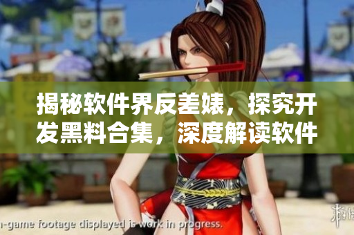 揭秘软件界反差婊，探究开发黑料合集，深度解读软件开发万里长征