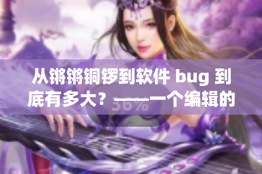 从锵锵铜锣到软件 bug 到底有多大？——一个编辑的思考