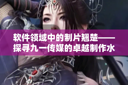 软件领域中的制片翘楚——探寻九一传媒的卓越制作水平 软件领域中的制片翘楚——探寻九一传媒的卓越制作水平