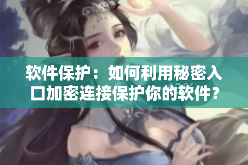 软件保护：如何利用秘密入口加密连接保护你的软件？