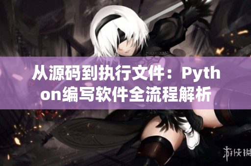 从源码到执行文件：Python编写软件全流程解析