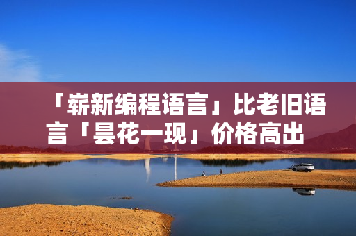 「崭新编程语言」比老旧语言「昙花一现」价格高出 30%