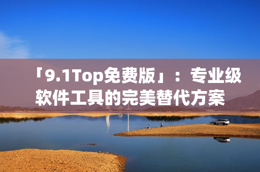 「9.1Top免费版」：专业级软件工具的完美替代方案