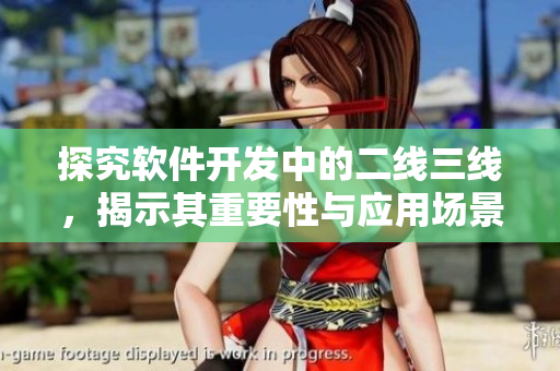探究软件开发中的二线三线,揭示其重要性与应用场景 探究软件开发中的二线三线,揭示其重要性与应用场景