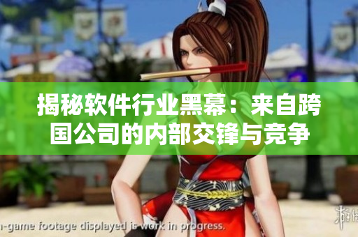 揭秘软件行业黑幕：来自跨国公司的内部交锋与竞争