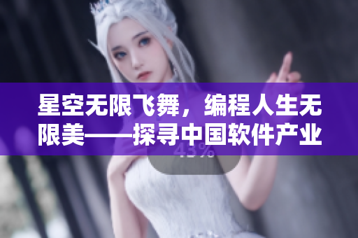 星空无限飞舞，编程人生无限美——探寻中国软件产业的未来