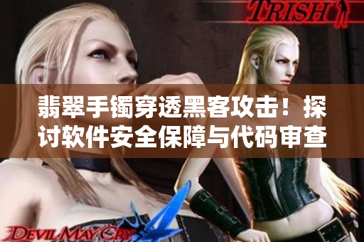 翡翠手镯穿透黑客攻击!探讨软件安全保障与代码审查 翡翠手镯穿透黑客攻击!探讨软件安全保障与代码审查