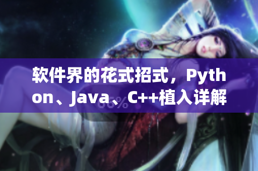 软件界的花式招式，Python、Java、C++植入详解