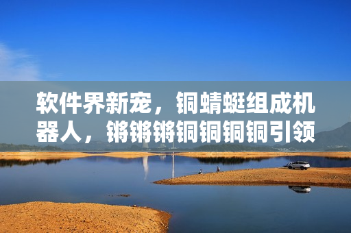 软件界新宠，铜蜻蜓组成机器人，锵锵锵铜铜铜铜引领未来